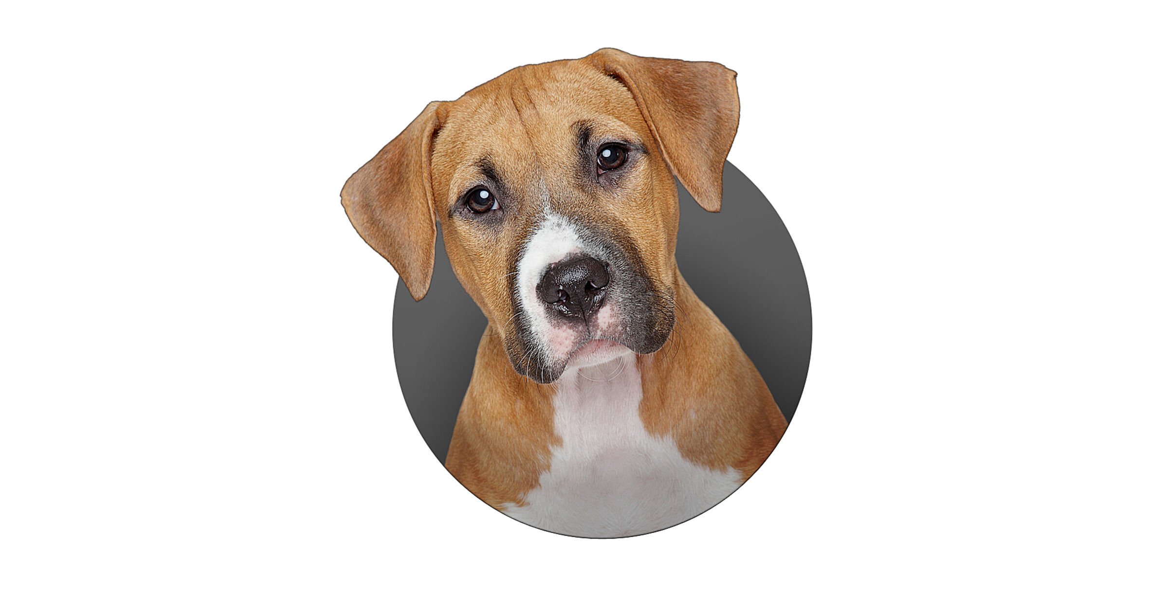 Sage price answers merchant services