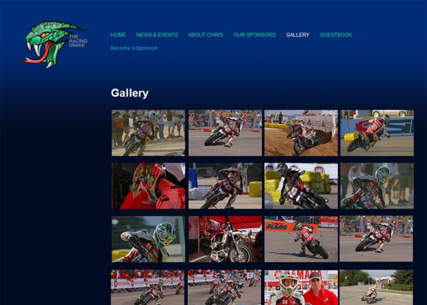 The Racing Snake Gallery