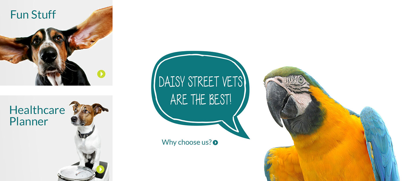 Daisy Street Vets Banner